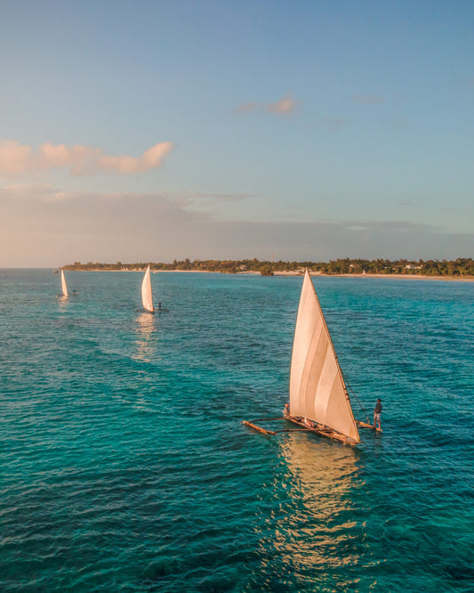 sunset sailing